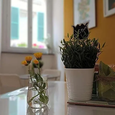 Bel Fiore Ancona